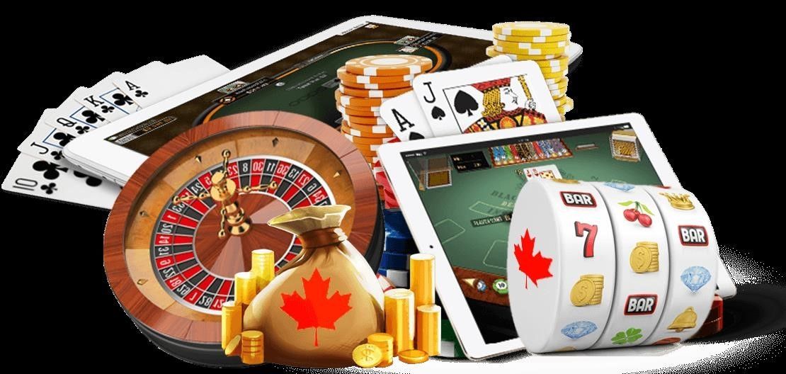 Slots Animal سائٹ پر خرید بونس کے ساتھ سلاٹس